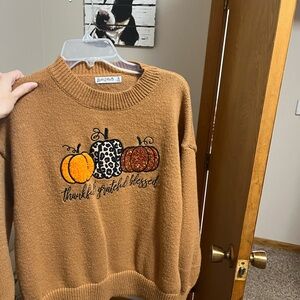 Autumn Harvest Sweater by Just For Me